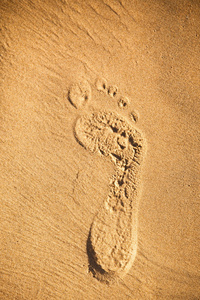 在沙滩上的足迹图片