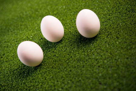 组的绿色草坪上的鸡蛋