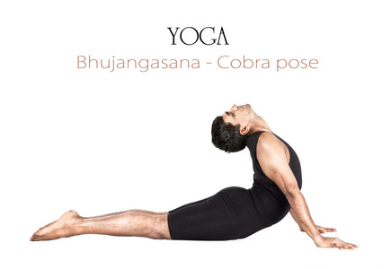 瑜伽 bhujangasana 眼镜蛇姿势