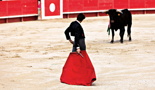 Bullfighting in the nmes arena