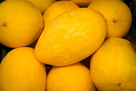gul meloner黄色瓜黄色