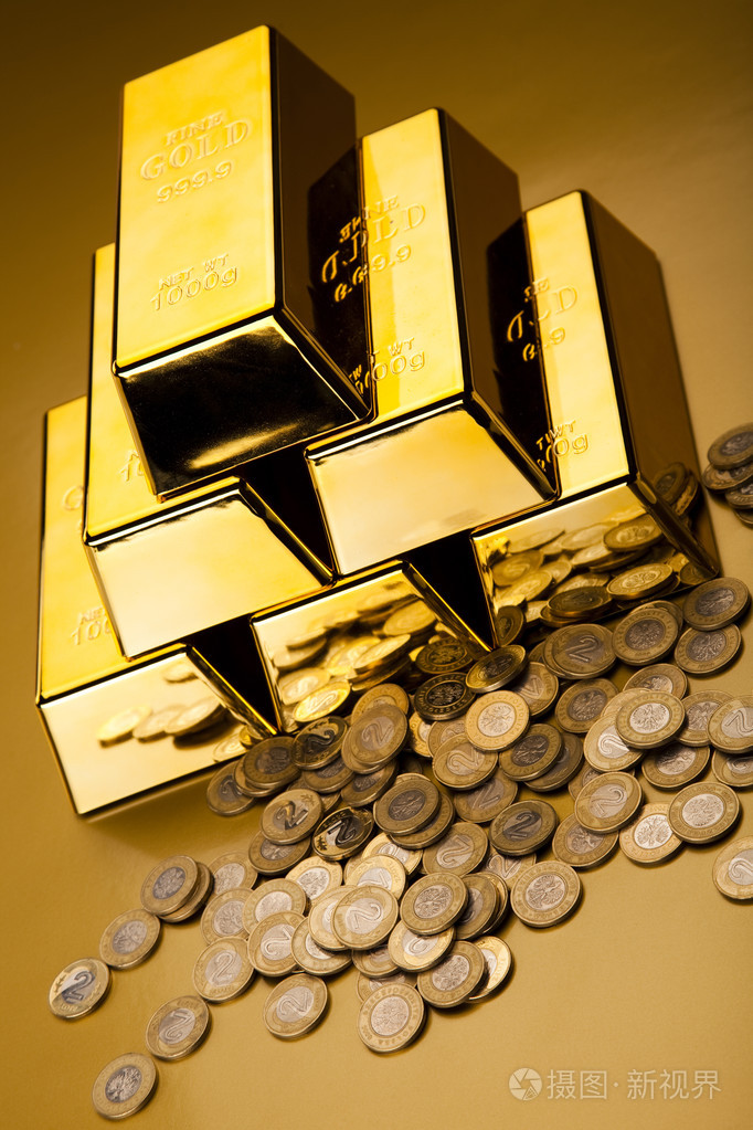 金币和金条财务理念