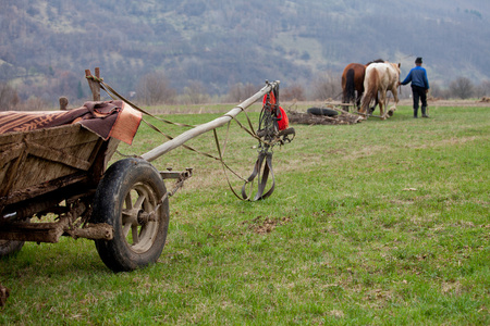 农村图片与马和购物车
