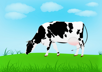 牛在春天绿色草地