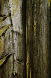 抽象纹理的木材