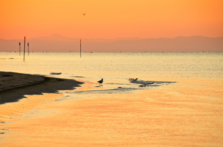 早上在海上