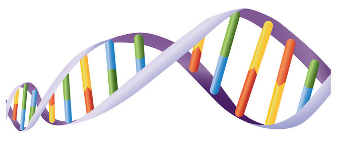 dna 螺旋结构