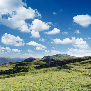 在山的夏天风景