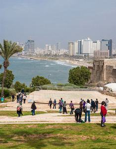 特拉维夫海滩全景。jaffa。以色列