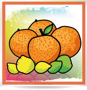 柑橘类水果，矢量图