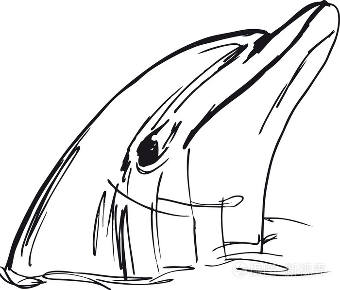 草绘的海豚的脸。矢量插画