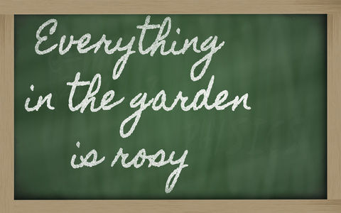 表达式花园里的一切是美好写在 sc