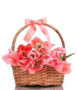 孤立在白色的购物篮中的美丽粉红郁金香