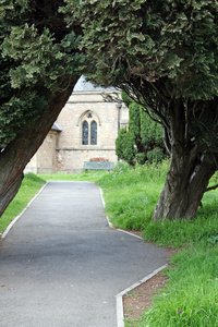 教会通过树