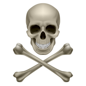 骷髅和交叉骨照片