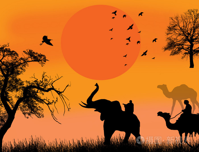 与骆驼和大象在 sunet 非洲野生动物园主题矢量图插画-正版商用图片19