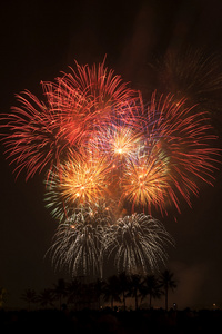 红色烟花爆炸图片