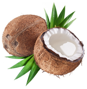 在白色背景上的椰子