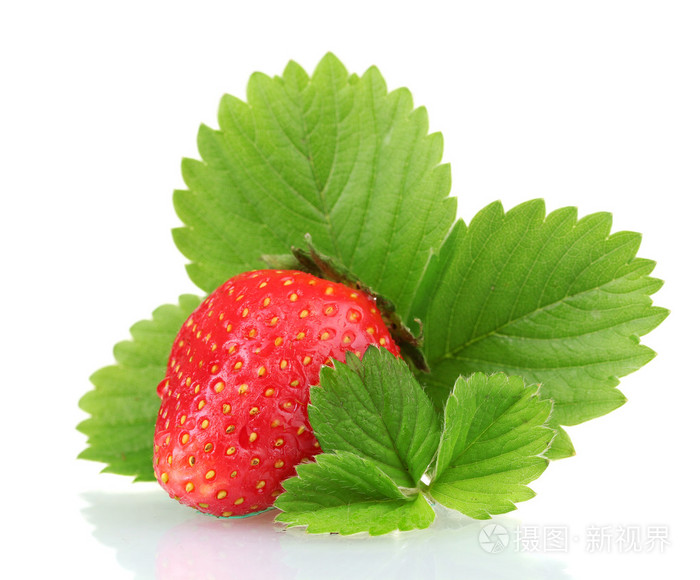 用树叶上白色隔离的甜草莓