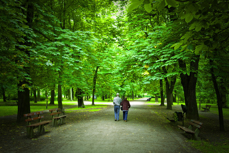 老年夫妇在春天公园散步图片