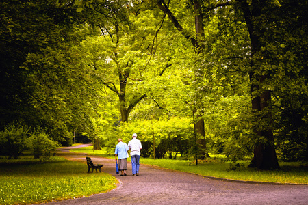 老年夫妇在春天公园散步