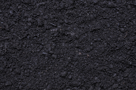 肥沃的黑色土壤
