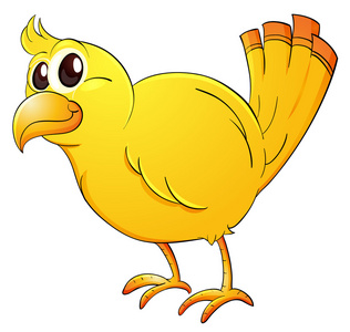 黄色的金丝雀鸟图片