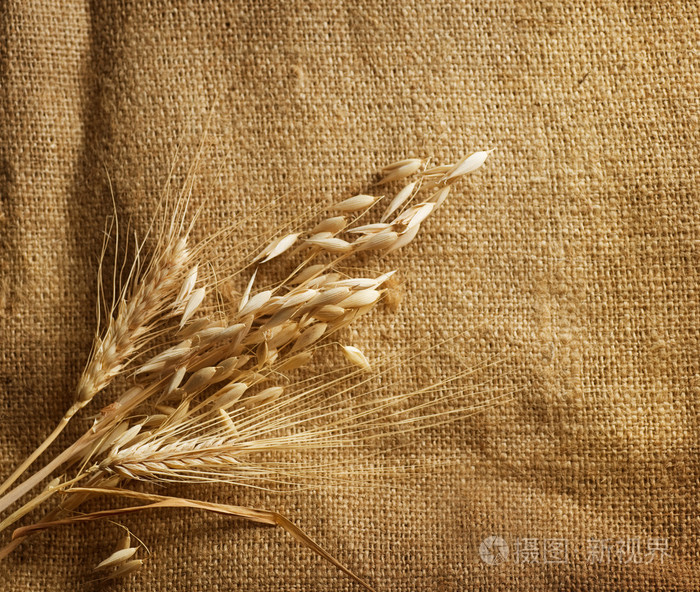 小麦的耳朵边框粗麻布背景上。与副本空间