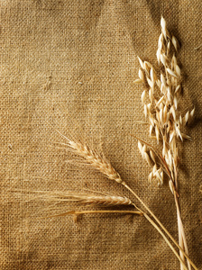 小麦粗麻布背景上的耳朵。乡村风格。与副本空间