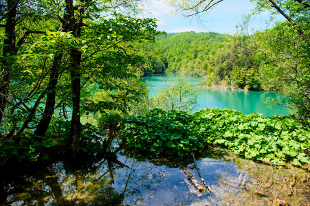 在克罗地亚，美丽的风景十六湖国家公园