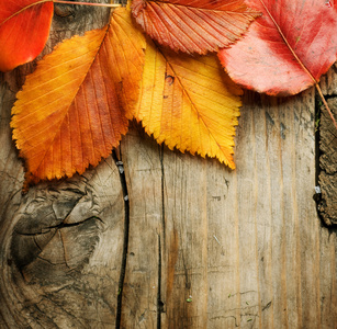 秋天的叶子在木制的背景。与副本空间
