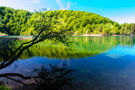 美丽的风景。在克罗地亚十六湖国家公园