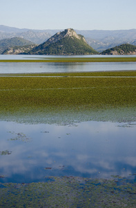 斯卡达尔湖与山为背景，在维尔帕扎尔，黑山