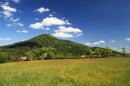 春天风景