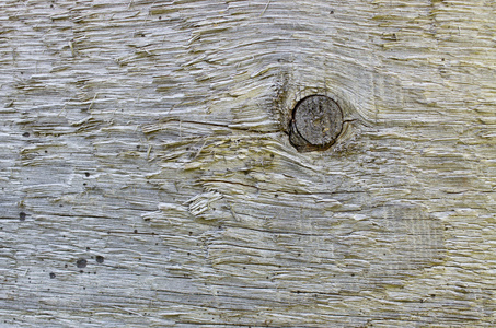 片麻岩为旧木板