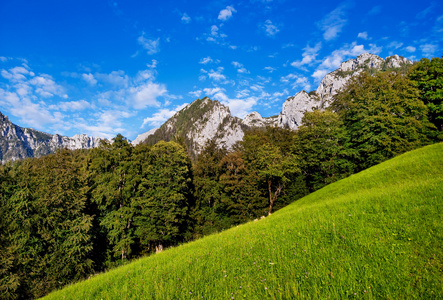 景区夏季风景在 berchtesgadener 土地，巴伐利亚，德国