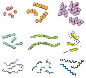 许多类型的细菌的插图
