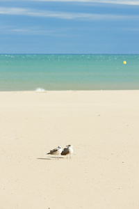 朗格多克鲁西永，法国纳博讷 plage