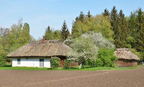 古代用稻草屋顶的小屋