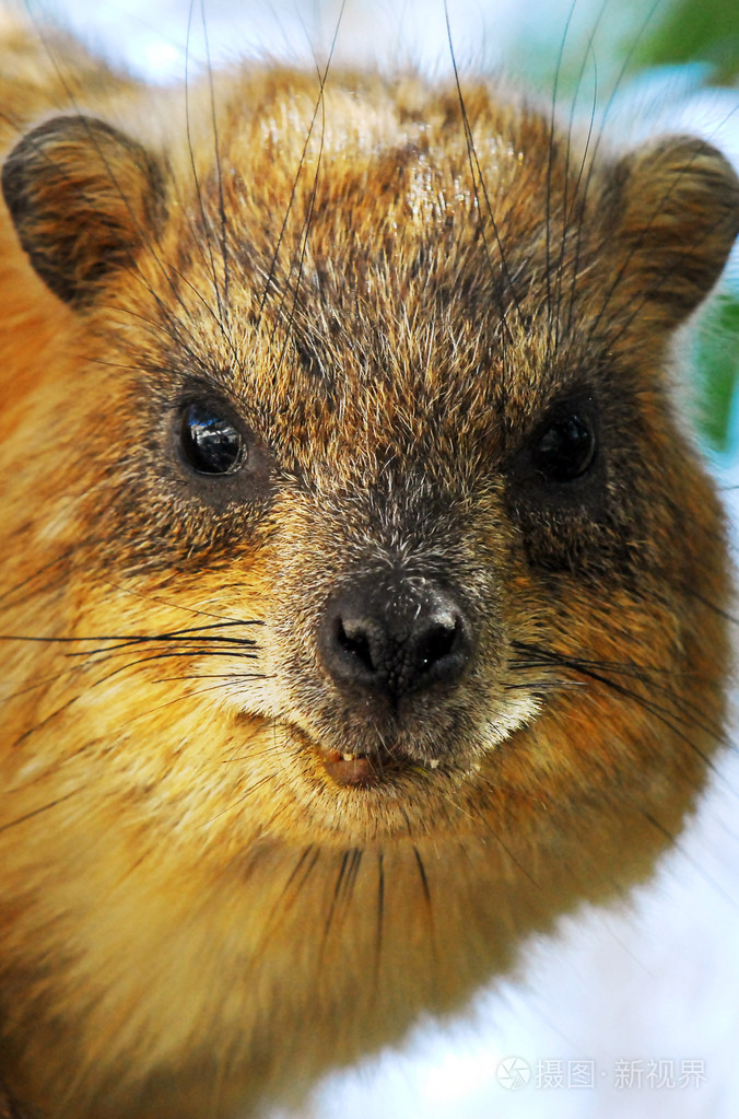 暂无图片作者lucidwaters新媒体授权标准授权扩展授权如何选择jpg大