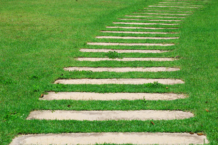 水彩画草地小路图片