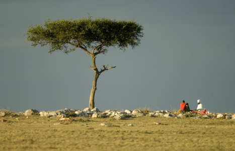 masai mara 肯尼亚