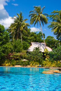 美丽的游泳池在泰国