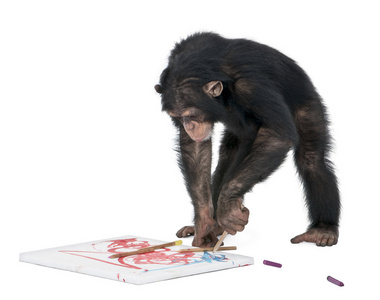 黑猩猩在画布上画西米娅特洛格特5岁