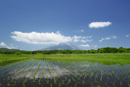 mt.iwate 和山水田园