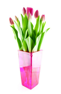粉红色荷兰郁金香花瓶里的花束