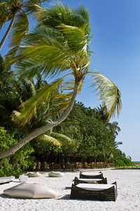 椰子树和海滩沙发与蓝蓝的天空