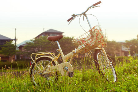 绿色草地上自行车