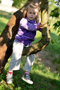 在树上的小女孩