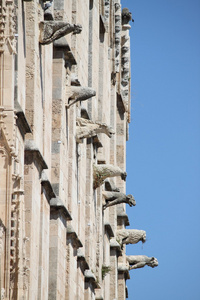 帕尔玛大教堂 gargoyles